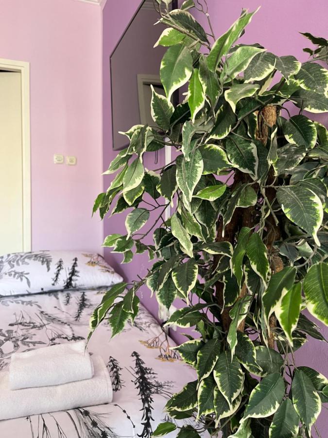 شقة غييكا  في Apartman Lora المظهر الخارجي الصورة